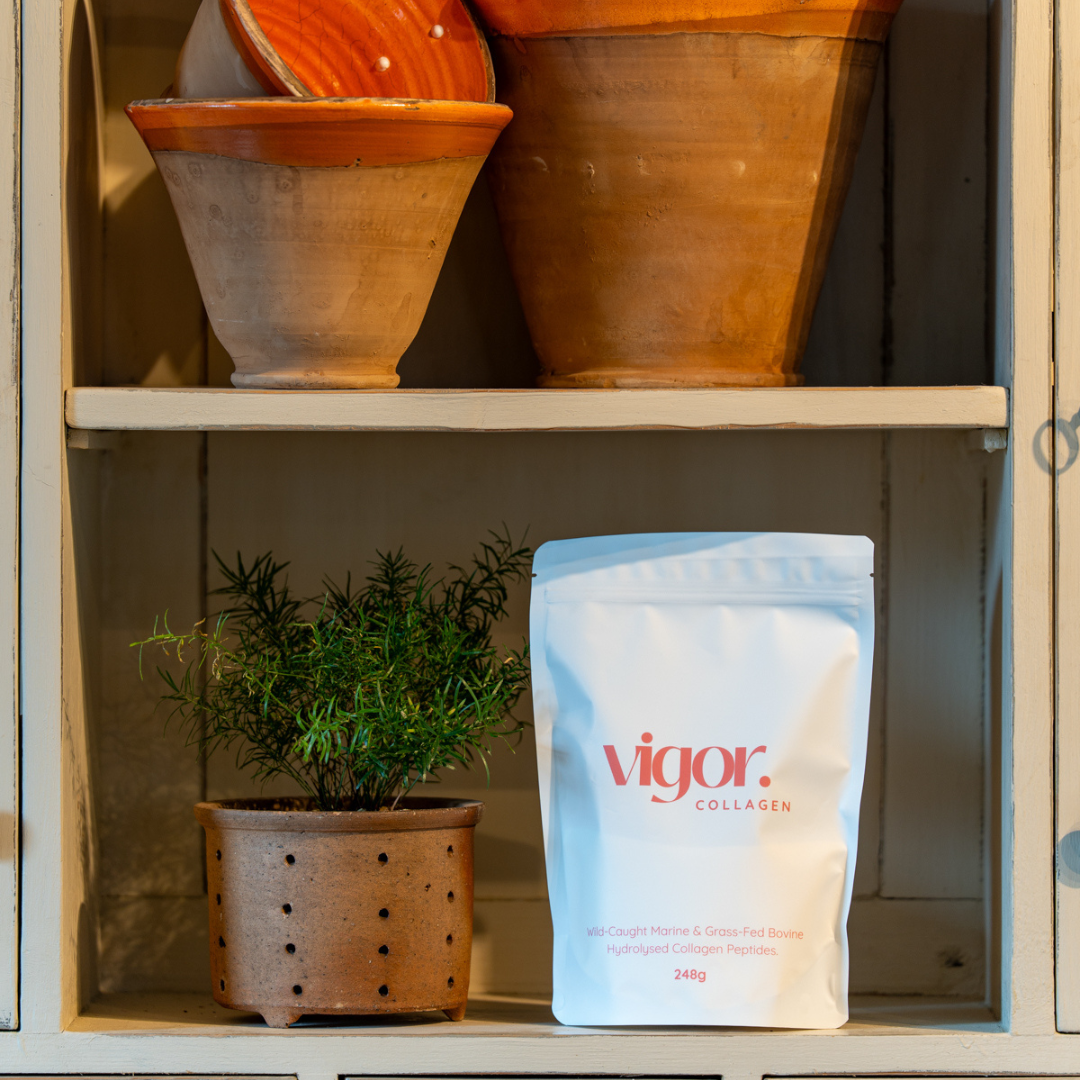 Vigor Collagen – Eine revolutionäre Mischung