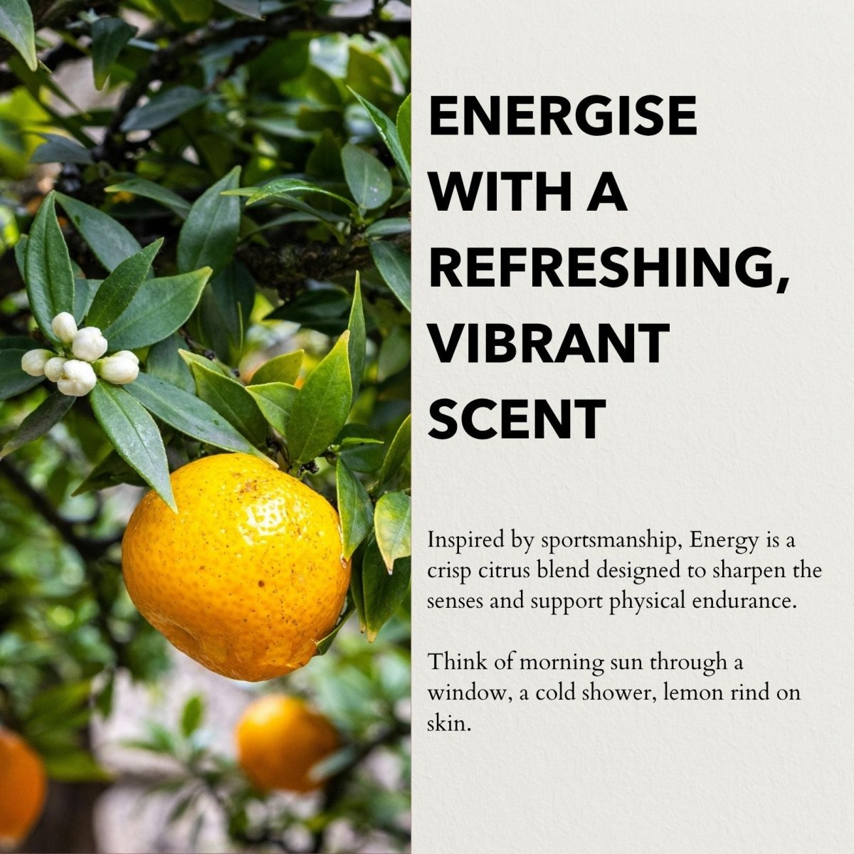 Energy Eau de Parfum | Enhance Endurance & Sharpen Clarity 100ml