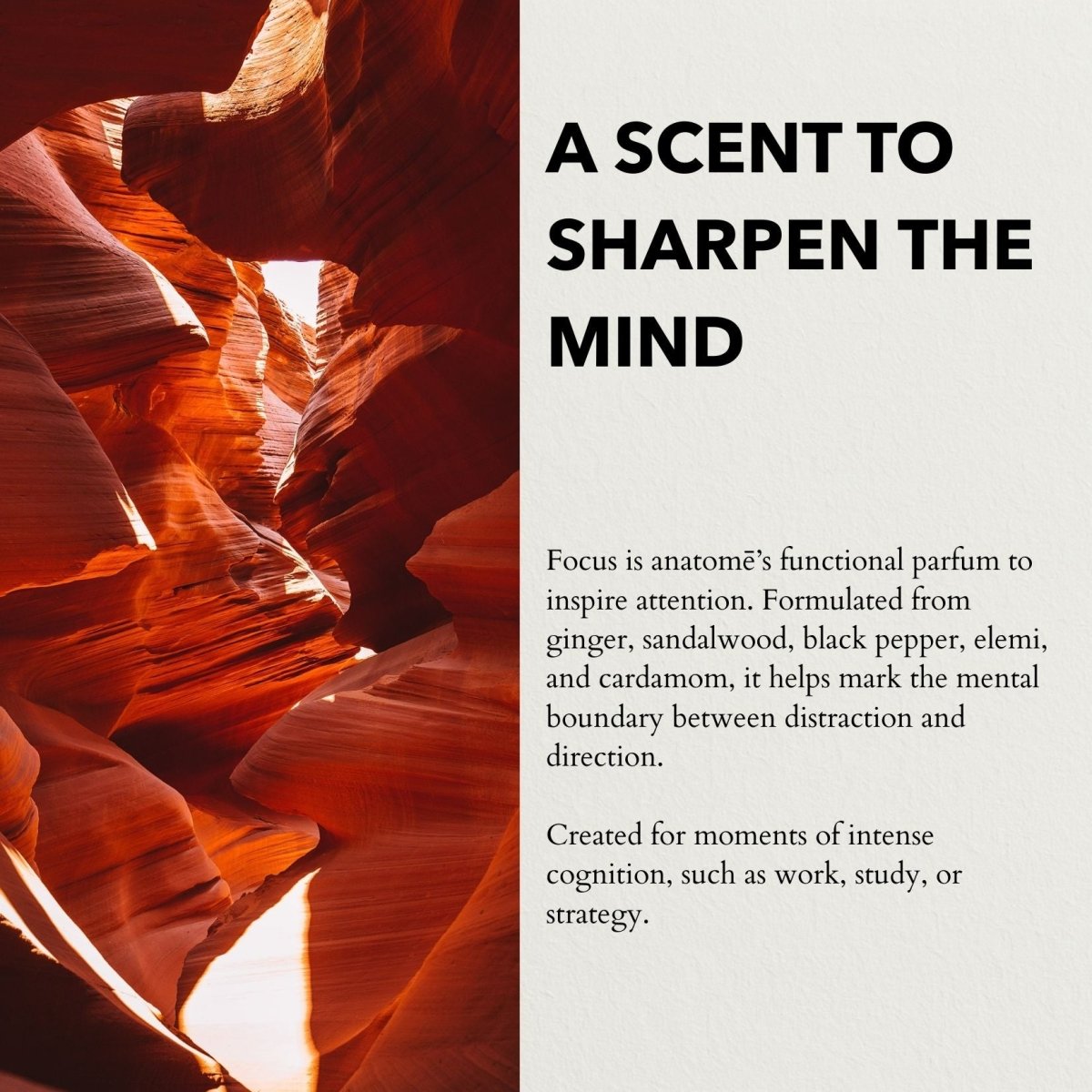 Focus Eau de Parfum | Sharpen Focus & Awaken the Senses 100ml