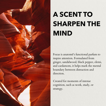 Focus Eau de Parfum | Sharpen Focus & Awaken the Senses 100ml