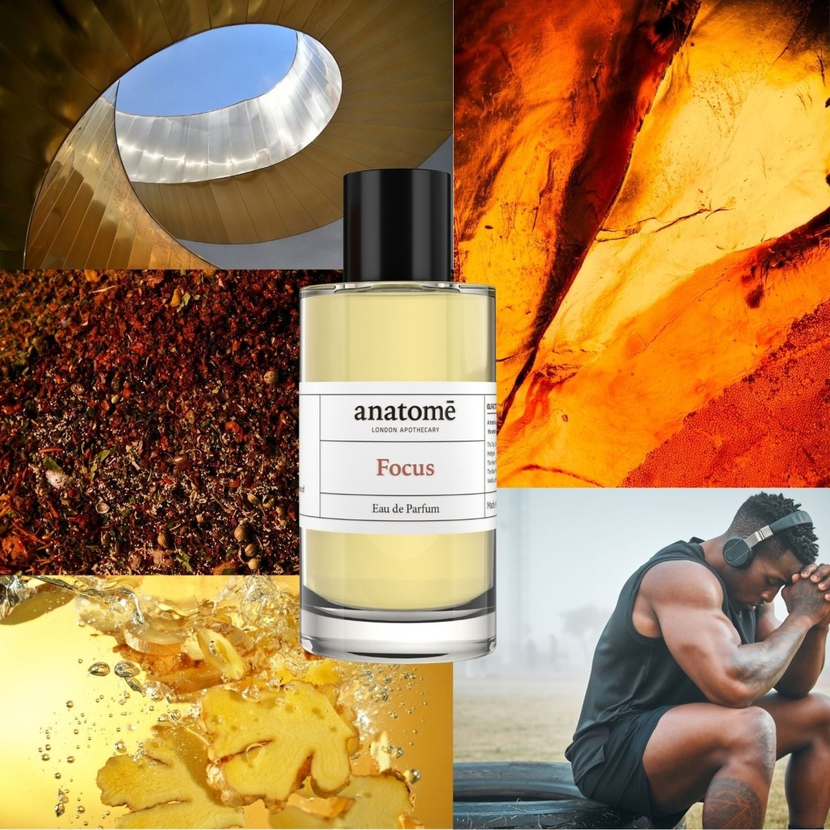 Focus Eau de Parfum | Sharpen Focus & Awaken the Senses 100ml