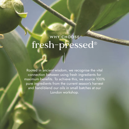 Aceite de Jojoba Ecológico 100ml