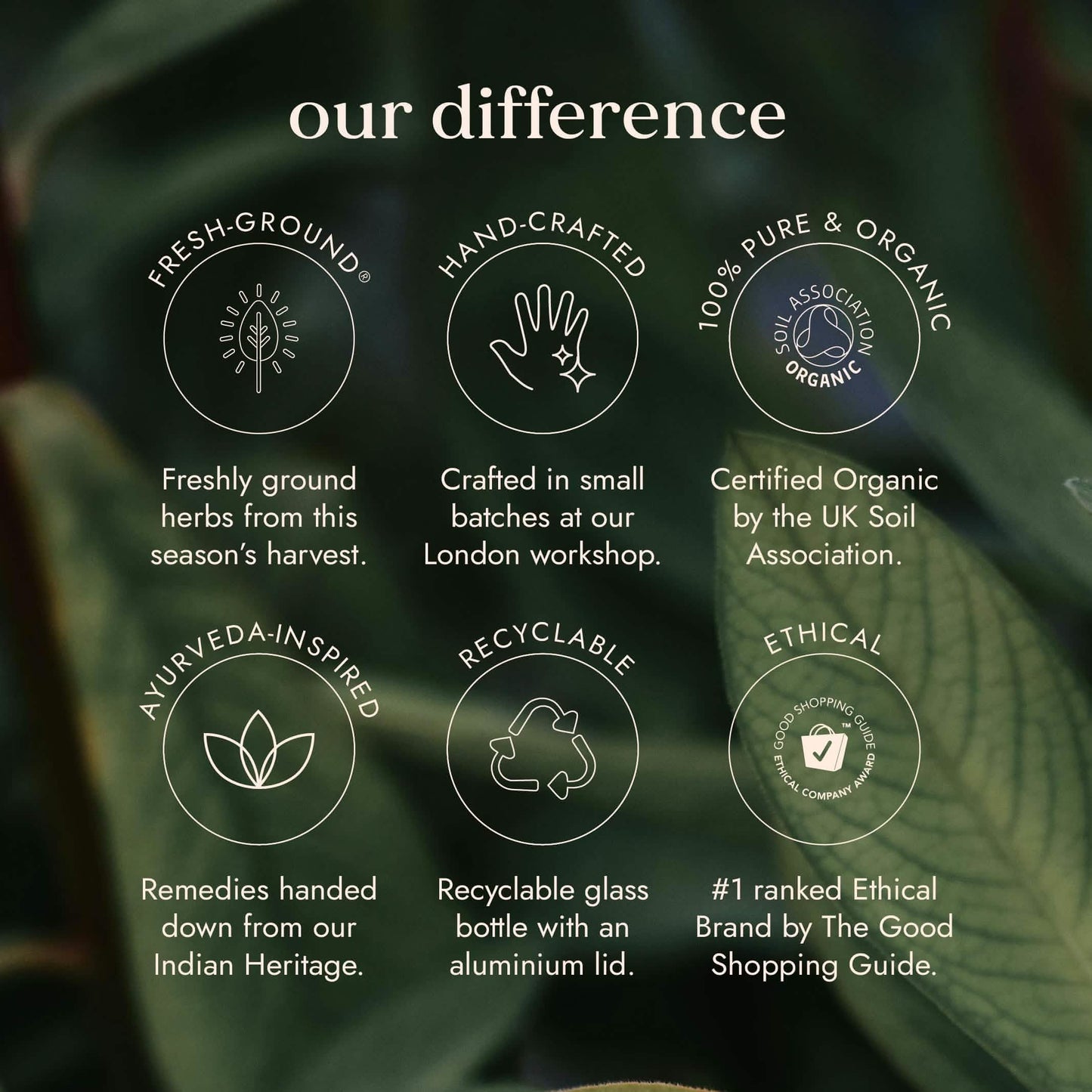 Organic Saw Palmetto