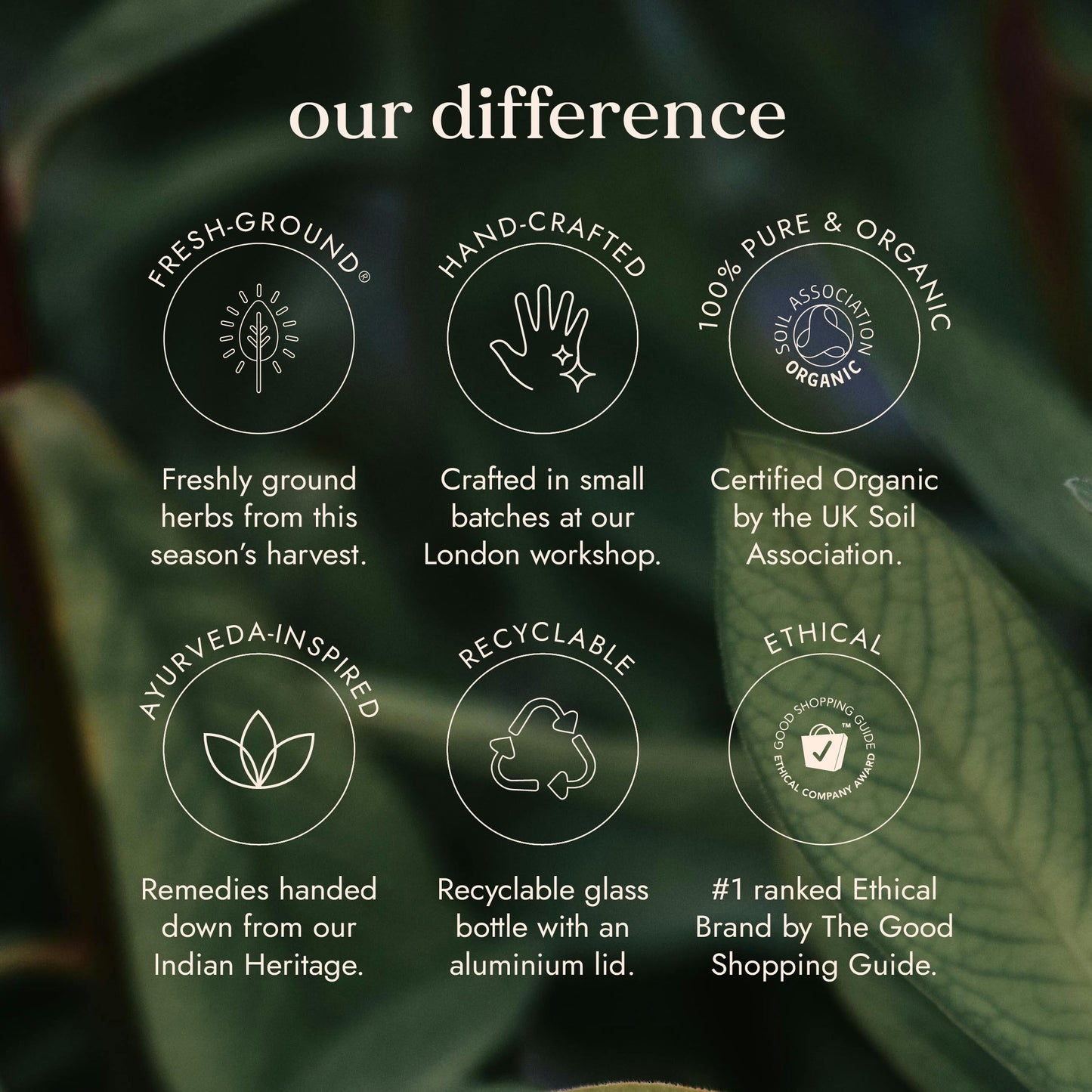 Organic Shatavari