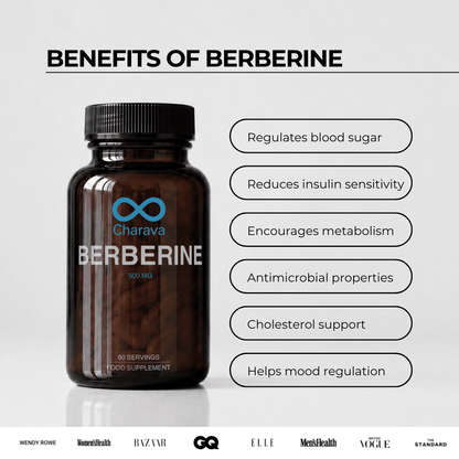 Berberine 500mg