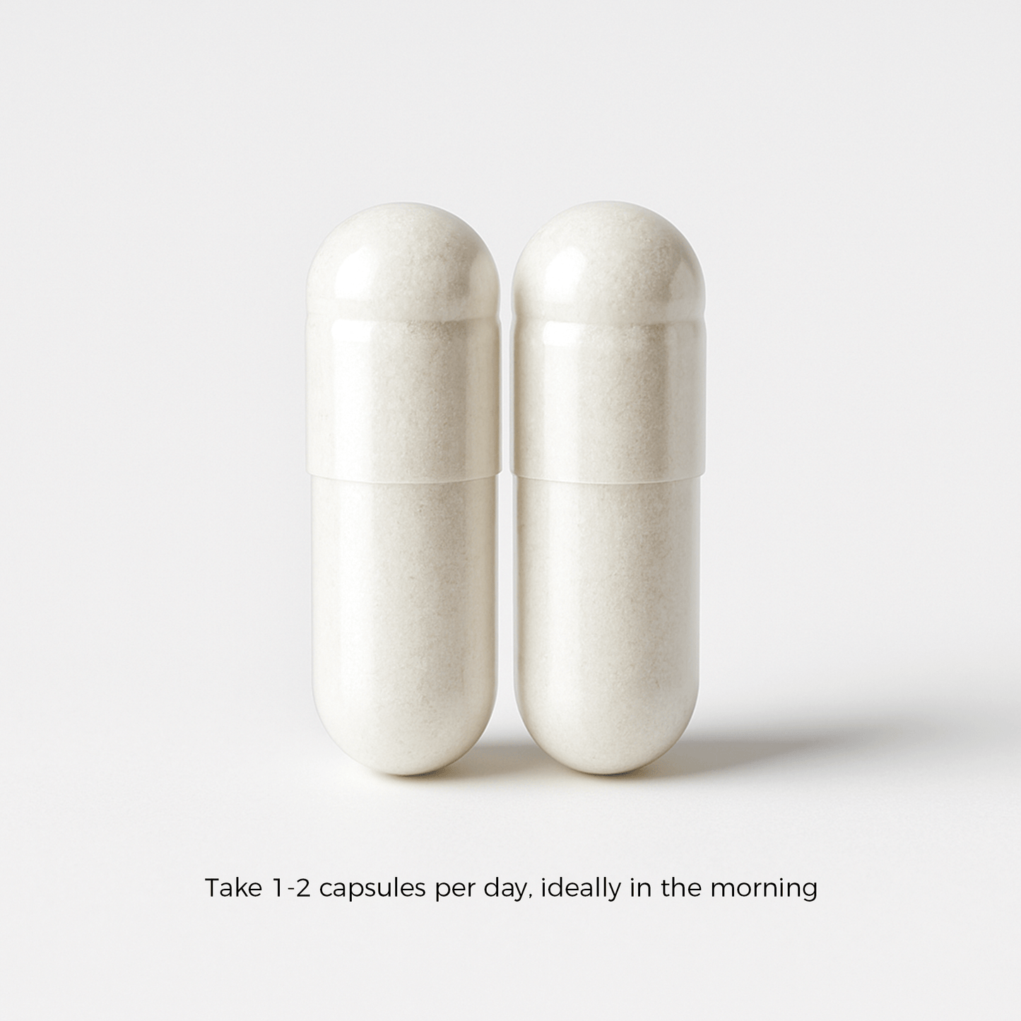 Löwenmähnenpilz 500 mg