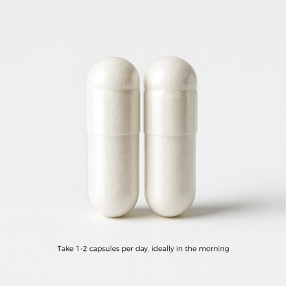 Löwenmähnenpilz 500 mg