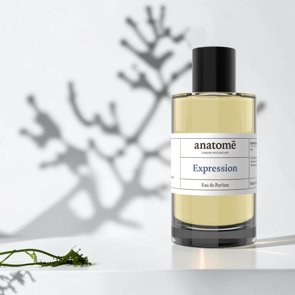 Expression Eau de Parfum | Open the Breath & Support Expression 100ml