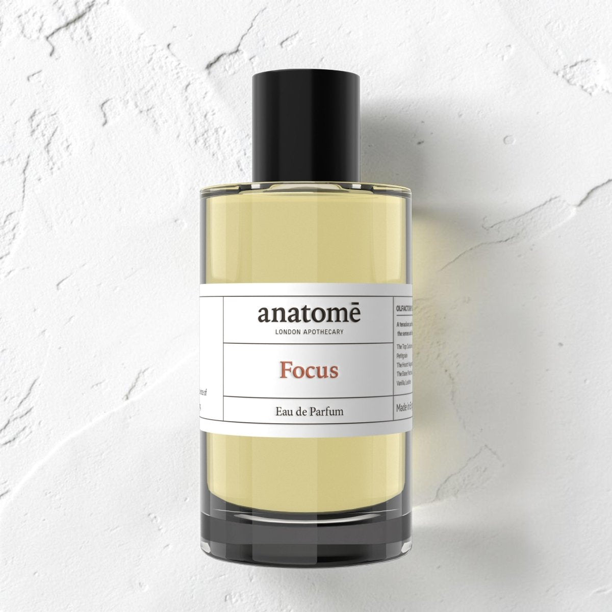 Focus Eau de Parfum | Sharpen Focus & Awaken the Senses 100ml