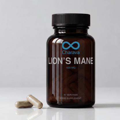 Lions Mane Mushroom 500mg