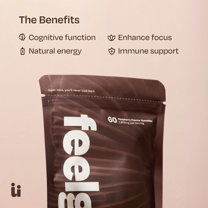 Calm + Focus Bundle
