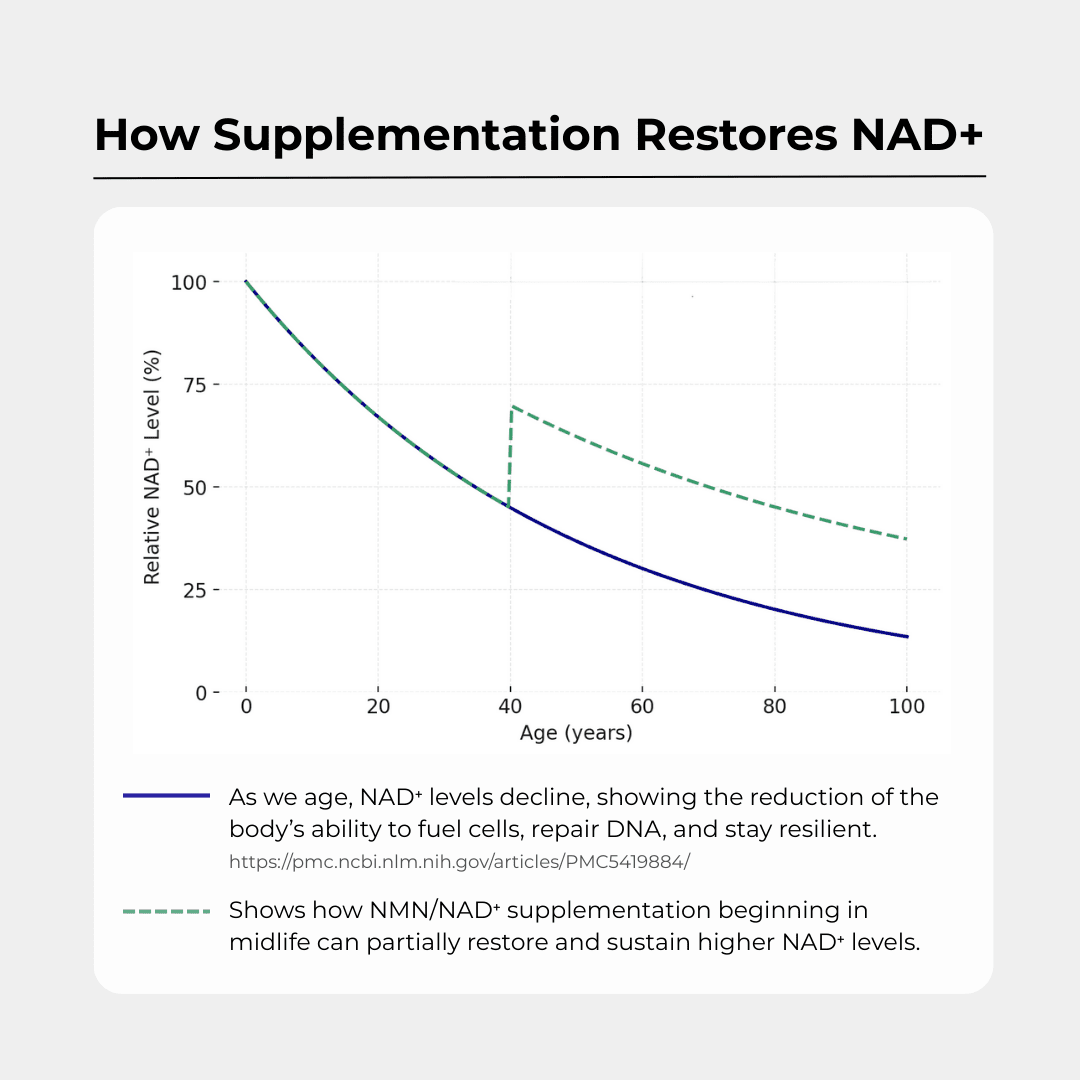 NAD+ 500 mg