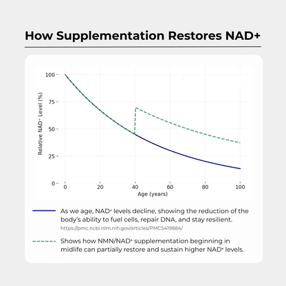 NAD+ 500 mg