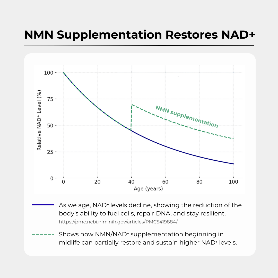 NMN 500mg