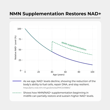 NMN 500mg