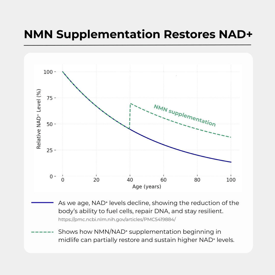 NMN+1200 (NMN, Resveratrol, Pterostilben)