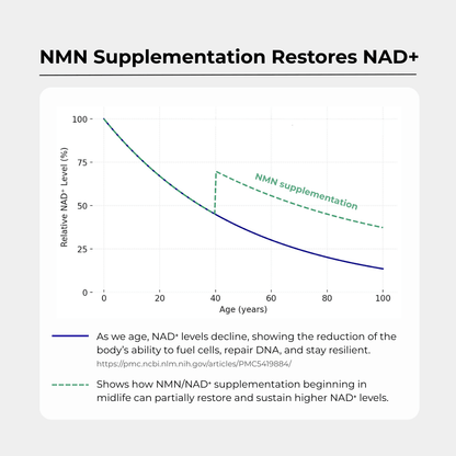 NMN+1200 (NMN, Resveratrol, Pterostilben)
