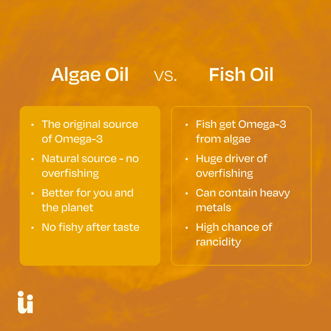 Omega-3 Gummies