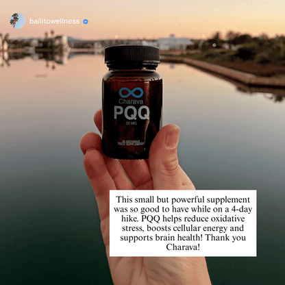 PQQ 20 mg